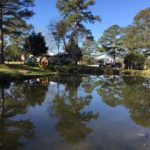 Fort Rucker 5